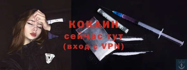мяу мяу мука Баксан