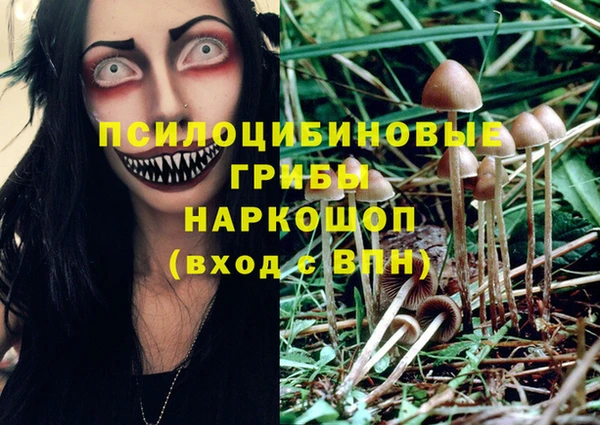 MESCALINE Белокуриха