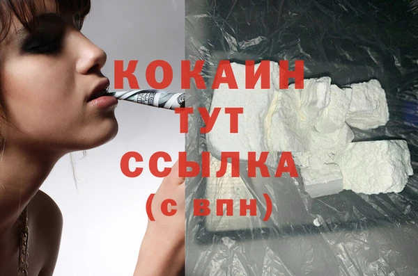 мяу мяу мука Баксан