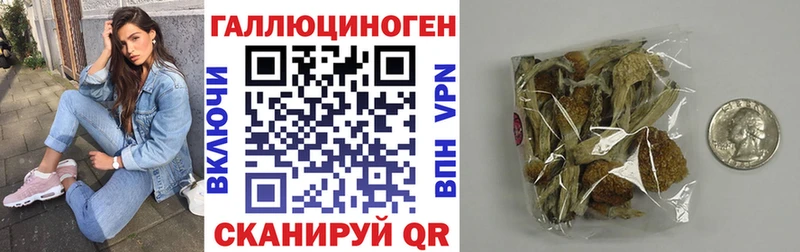 Псилоцибиновые грибы прущие грибы где купить наркотик Верхоянск
